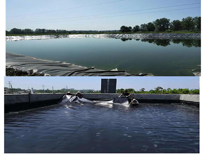 幫大家解答下魚塘防滲遇到的幾個問題？