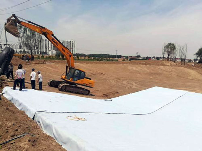 景觀(guān)湖膨潤(rùn)土防水毯