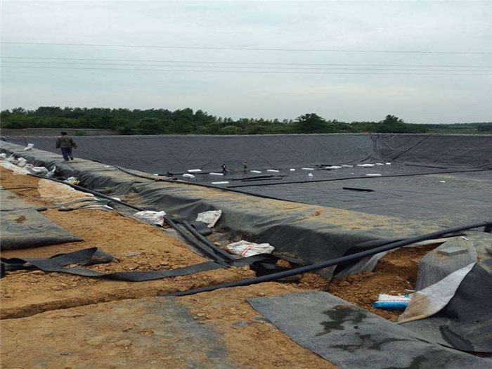 藕池黑色塑料防滲膜